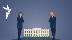 Поможет ли Маск Трампу, а медиа-блиц - Харрис?