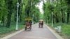 Palic 9, Serbia