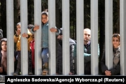 Мігранти біля огорожі на польсько-білоруському кордоні поблизу Біловежі, Польща, 28 травня 2023 року