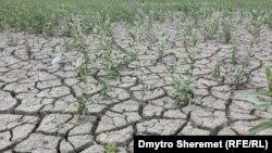 Продовжуються роботи з буріння. Попередній дедлайн – 15 жовтня. Прокладання трубопроводів – до 15 листопада (фото ілюстративне)