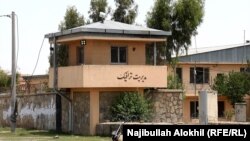 په خوست کې د طالبانو د ټرافیک مدیریت