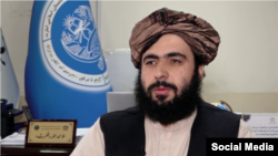 ملا حمدالله فطرت، د طالبانو د حکومت نوی مرستیال ویاند