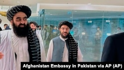 له ارشیفه د طالبانو د بهرنیو چارو وزیر امیرخان متقي تصویر