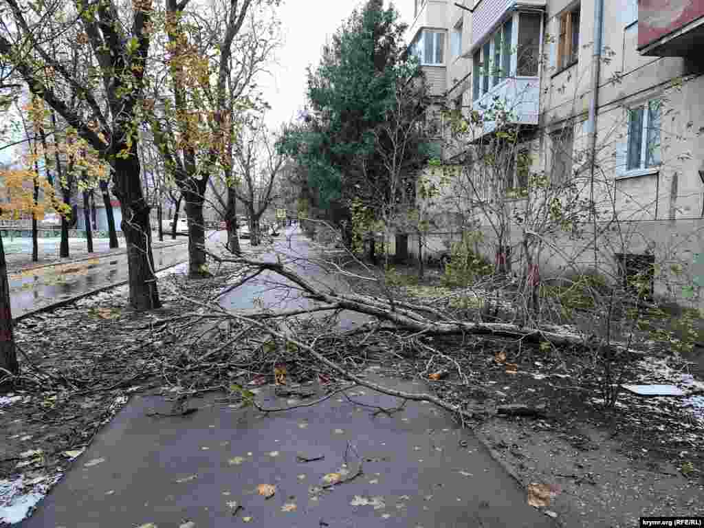 Srušeno drvo blokira trotoar ispred stambene zgrade u Simferopolju. 