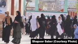 ارشیف: په بادغیس کې د یوه ښوونځي زده کوونکې
