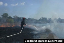 Un incendiu de vegetație poate afecta grav și solul, nu doar mediu, spun cercetătorii.