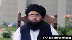 د طالبانو د ریاست الوزرا سیاسي مرستیال، مولوي عبدالکبیر