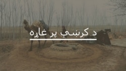 پېښور کې د ناامنۍ تر شا څه دي؟ 