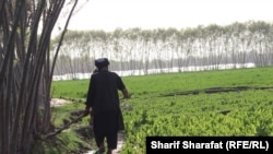 يو کروندګر