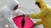 Black Sea, Caspian Countries Step Up Measures