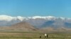 An Afghan man and his son watch their sheep graze in front of the Hindu Kush Mountains near Bagram on the outskirts of Kabul.