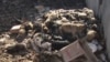 Свалка трупов бродячих животных. Село Жетекши Павлодарской области, 12 октября 2011 года. 