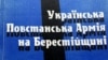 Кам’янецька вежа (Кам'янецький стовп) – оборонна вежа волинського типу в місті Кам'янець Брестської області. Збудована протягом 1271–1288 років за наказом волинського князя Володимира Васильковича