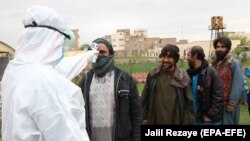افغانستان کې د مړو شمېر ۴۰ ته پورته شوی
