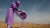 The project, run by a British organization, has made 40 million square meters of agricultural land safe to farm in Herat.