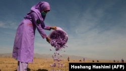 The project, run by a British organization, has made 40 million square meters of agricultural land safe to farm in Herat.