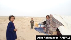 آرشیف 
