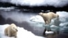 Obama: Alaska Was 'Pretty Good Deal'
