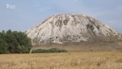 "Торатау якын туганың кебек ерактан ук каршы ала"