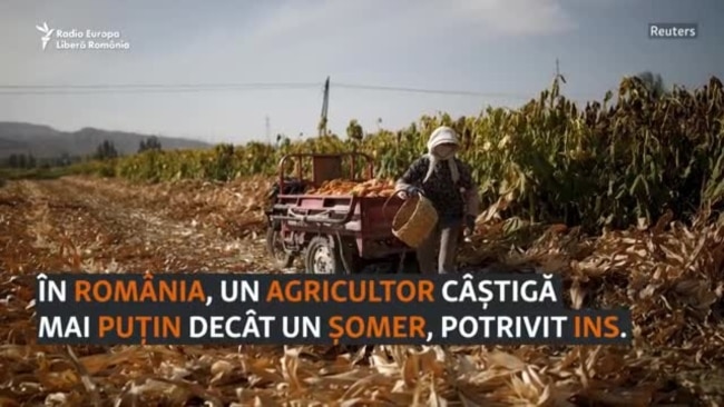 Cât câștigă și cât cheltuie românii în funcție de ce fac și unde trăiesc