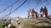 Pakistani Pashto tribal men near Bajaur 