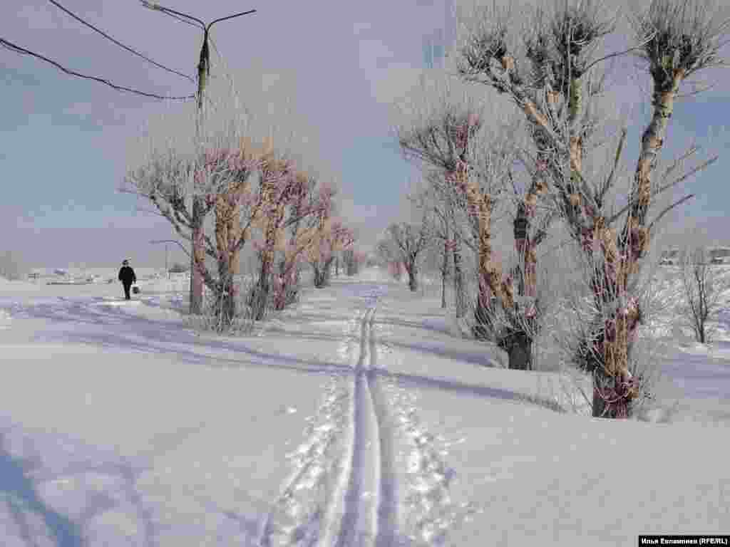 В 2011-2012 году на набережной вырубили пышные тополя. На этом снимке, сделанном в марте 2011 года, тополя еще есть... 