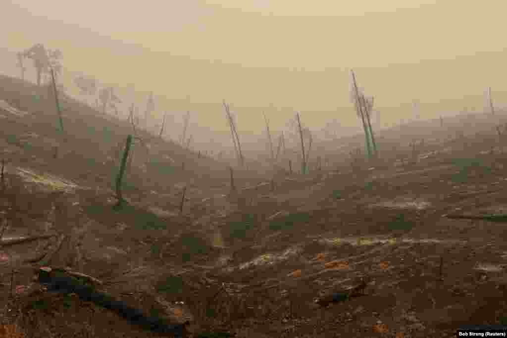 Иго, Калифорния. Лысые холмы после пожара Carr Fire. Из-за стихийного бедствия шесть человек погибли, еще семерых объявили пропавшими без вести в одном из самых разрушительных лесных пожаров в истории США. Более 800 домов и 300 других зданий превратились в пепел. (Reuters/Bob Strong) 