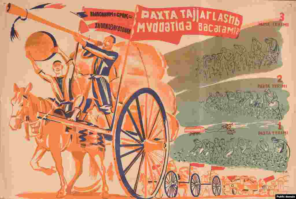Урыс һәм үзбәк телләрендәге 1933 елгы плакат мамык җыючыларны рухландыру өчен ясалган. Анда "Мамыкны вакытында җыеп алачакбыз. Беренче мамык уңышы. Икенче мамык уңышы. Өченче мамык уңышы." дип язылган.