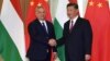 Preşedintele chinez Xi Jinping i-a spus premierului ungar Viktor Orbán că este un „prieten” al Chinei.