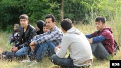 په دغه کال کې ګڼو افغانانو اروپايي هېوادونو ته پناه وړې.