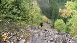 Korićanske stijene: Nova otkrića razlog za ponovnu ekshumaciju 
