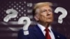 Выдержит ли судебная система Америки "золотой век" Трампа?