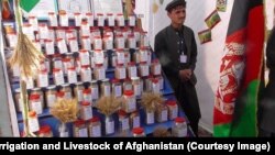 په ننګرهار کې د کرنيزو توکو د نندارتون يوه څنډه