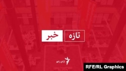 عاجل خبر