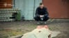 Un bărbat privește cadavrul unei femei ucise în timpul unui atac al unei drone rusești în regiunea Kiev pe 18 mai.