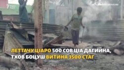 500 сов хIусам яьгна даймахкара бевдда Бангладешехь бехачу рохинджийн куьпахь