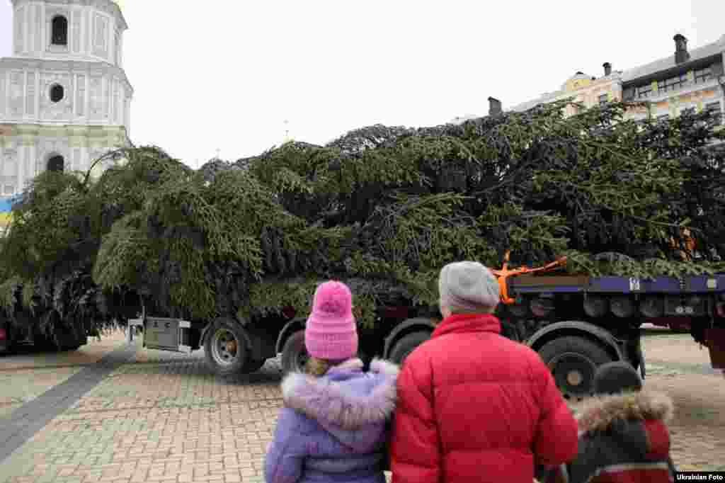 На Софійській площі почали встановлювати головну новорічну ялинку країни. Дерево породи «біла ялиця» висотою 25 метрів приїхало до Києва з Івано-Франківська. Київ, 5 грудня 2015 року