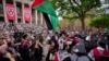 Студенческие протесты в поддержку палестинцев