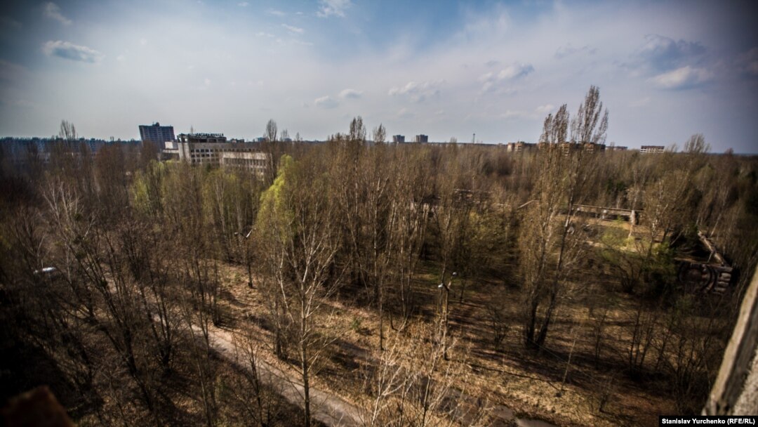 Науковець Сергій Гащак запевняє, що в Чорнобильській зоні горить не Рудий ліс, а звичайний