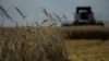 Руководство ЕС утвердило повышение тарифов на зерно из России
