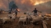 Încălzirea globală va duce la producerea mult mai frecventă a unor evenimente climatice extreme, spun experții.