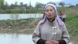 Ишкер аялдарга ишенели