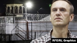 Алексей Навальный. Коллаж