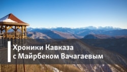 Жизнь чеченцев во Франции: чаяния и надежды