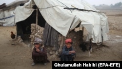 ويل شوي، په بېځايه شويو کې يې نیمايي یې ماشومان وو