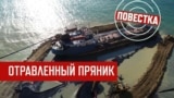 "Злобные недоговороспособные морды"