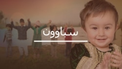 سباوون خپرونه دلته واورئ